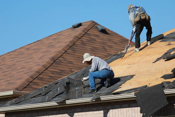 Best Roof Ventilation Installation  in Landover Hills, MD